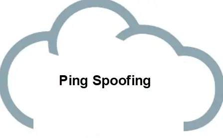 what-is-ping-spoofing