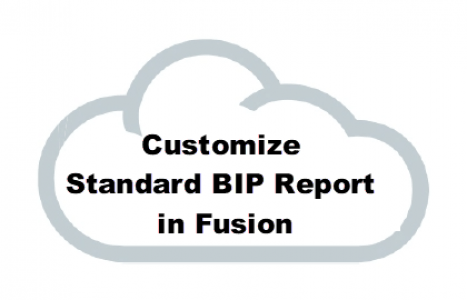 Customize Standard BI Publisher Report
