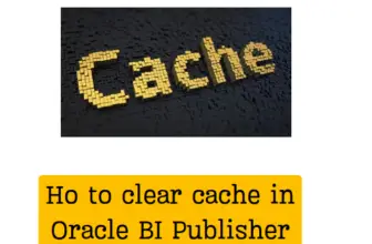 clear cache in Oracle Fusion Bi Publisher