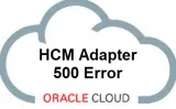 HCM Adapter 500 Error |HCM Adapter can not access business object