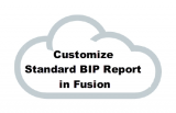How to Customize Standard BI Publisher Report