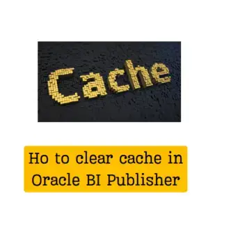 How to clear cache in Oracle Fusion Bi Publisher and Analytics